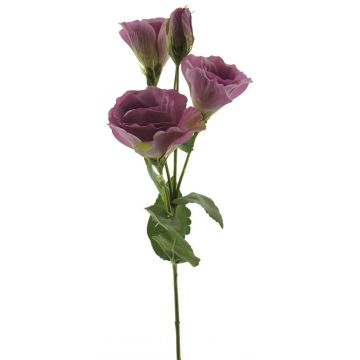 Konstgjord lisianthus ALARONA, mauve, 55cm, Ø6-8cm Konstgjord lisianthus ALARONA, mauve, 55cm, Ø6-8cm