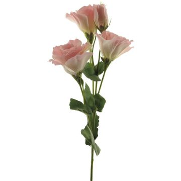 Konstgjord lisianthus ALARONA, rosa-krämfärgad, 55cm, Ø6-8cm Konstgjord lisianthus ALARONA, rosa-krämfärgad, 55cm, Ø6-8cm
