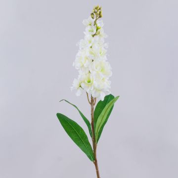 Konstgjord blomma Levkoje BARIADE, krämvit, 85cm Konstgjord blomma Levkoje BARIADE, krämvit, 85cm