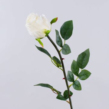 Konstgjord ros SUNJIK, krämfärgad, 75cm, Ø7cm Konstgjord ros SUNJIK, krämfärgad, 75cm, Ø7cm