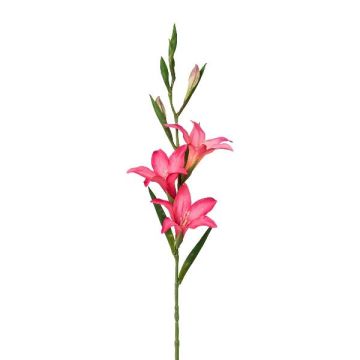 Konstblomma gladiolus LUNDYL, rosa, 70cm Konstblomma gladiolus LUNDYL, rosa, 70cm
