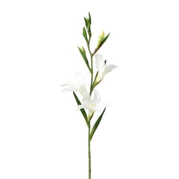 Konstblomma gladiolus LUNDYL, vit, 70cm Konstblomma gladiolus LUNDYL, vit, 70cm