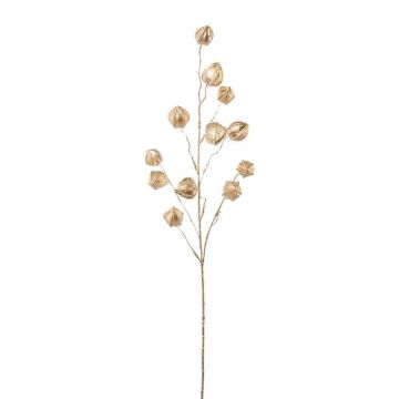 Konstgjord gren med Physalis FRILTE och frukter, metallic-champagne, 90cm