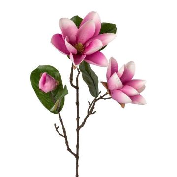 Konstgjord magnoliagren PLORNE, cerise, 70cm Konstgjord magnoliagren PLORNE, cerise, 70cm