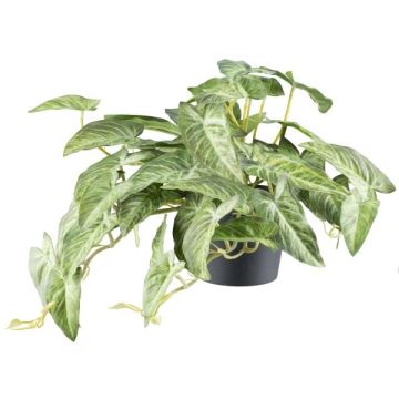 Konstgjord Alocasia zebrina variegata hängande KLUVY, grön-krämfärgad, 40cm Konstgjord Alocasia zebrina variegata hängande KLUVY, grön-krämfärgad, 40cm