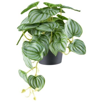 Konstväxt dvärgpeppar LUMHER, dekorativ kruka, hängande, grön-grå, 24cm