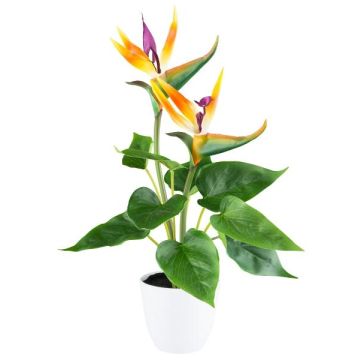 Konstblomma Strelitzia VELKORN i dekorativ kruka, orange-violett, 40cm Konstblomma Strelitzia VELKORN i dekorativ kruka, orange-violett, 40cm