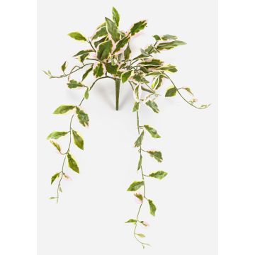 Konstväxt, porslinsblomma YLFES på pinne, hängande, grön, 50cm Konstväxt, porslinsblomma YLFES på pinne, hängande, grön, 50cm