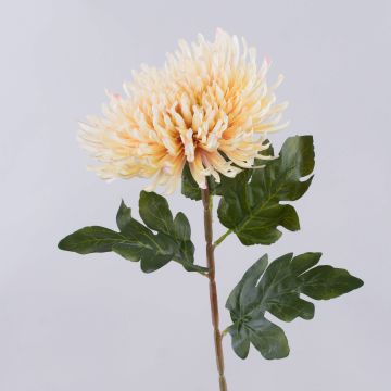 Konstgjord krysantemum HIKJON, kräm-aprikos, 75cm, Ø18cm Konstgjord krysantemum HIKJON, kräm-aprikos, 75cm, Ø18cm