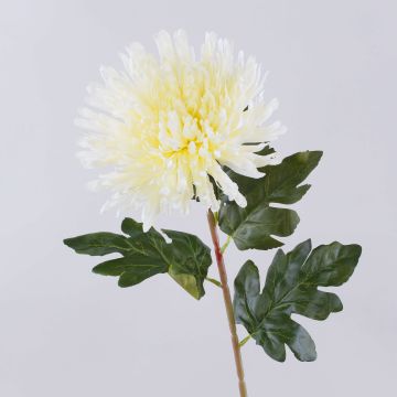 Konstgjord krysantemum HIKJON, krämvit, 75cm, Ø18cm Konstgjord krysantemum HIKJON, krämvit, 75cm, Ø18cm