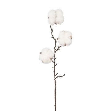Dekorativ kvist bomull SKLAVAN med frukter, vit, 45cm, Ø5cm Dekorativ kvist bomull SKLAVAN med frukter, vit, 45cm, Ø5cm