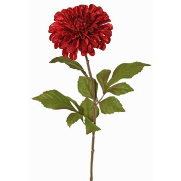 Sammetdahlia TINFAS, mörkröda, 60cm, Ø13cm