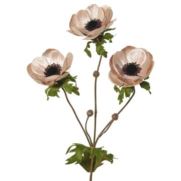 Sammet anemonkvist WINFAS, blekrosa, 75cm, Ø9-11cm Sammet anemonkvist WINFAS, blekrosa, 75cm, Ø9-11cm