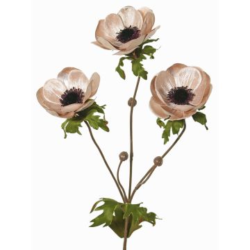 Sammet anemonkvist WINFAS, blekrosa, 75cm, Ø9-11cm Sammet anemonkvist WINFAS, blekrosa, 75cm, Ø9-11cm