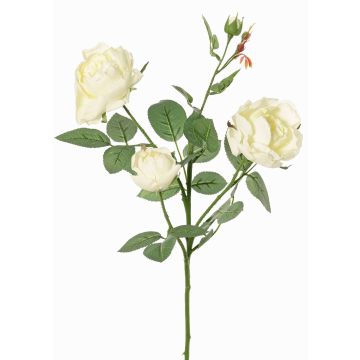Konstgjord rosgren DIAMANTIS, krämfärgad, 70cm, Ø5-8cm Konstgjord rosgren DIAMANTIS, krämfärgad, 70cm, Ø5-8cm