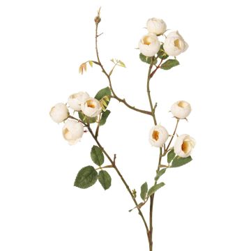 Konstgjord kålros-gren LORRAINE, Eco Collection, krämgul, 60cm, Ø3cm