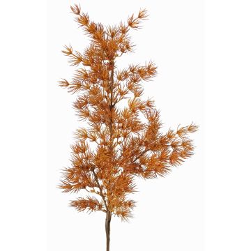 Konstgjord Asparagus umbellatus-gren DIKERNO, orange-brun, 75cm