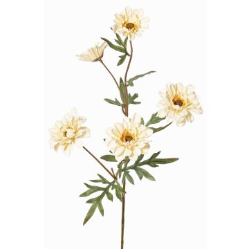 Dekorativ gren med krysantemum PRUDENCE, Eco Collection, krämgul, 75cm, Ø5-6,5cm Dekorativ gren med krysantemum PRUDENCE, Eco Collection, krämgul, 75cm, Ø5-6,5cm