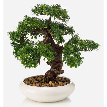 Konstgjord bonsai Ficus MIRSANDA i bonsaiskål, 35cm Konstgjord bonsai Ficus MIRSANDA i bonsaiskål, 35cm