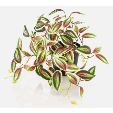 Konstväxt Tradescantia zebrina DIHALLO i dekorativ kruka, grön-röd, 19cm