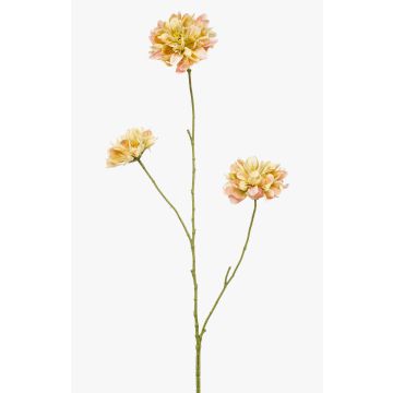 Dekorativ kvist av skabiosa DIHALLY, gul-persikofärgad, 80cm, Ø8-9cm Dekorativ kvist av skabiosa DIHALLY, gul-persikofärgad, 80cm, Ø8-9cm