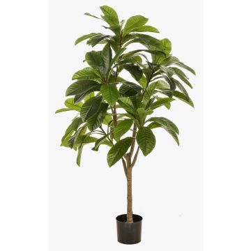 Konstgjord frangipani-träd MORSHA, konstgjord stam, grön, 145cm Konstgjord frangipani-träd MORSHA, konstgjord stam, grön, 145cm