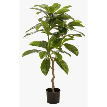 Konstgjord frangipani-träd MORSHA, konstgjord stam, grön, 110cm Konstgjord frangipani-träd MORSHA, konstgjord stam, grön, 110cm