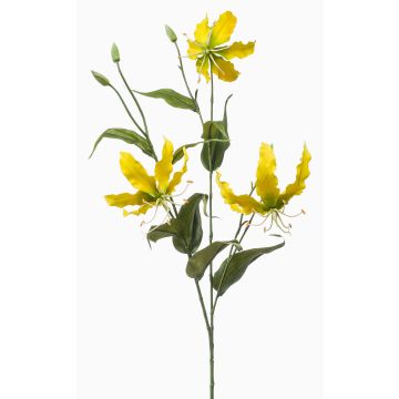 Dekorativ kvist Gloriosa TROFEL, gulgrön, 90cm Dekorativ kvist Gloriosa TROFEL, gulgrön, 90cm