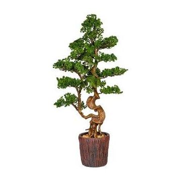 Dekorationsträd, bonsai-lärk WOME i magnesiakruka, 125cm