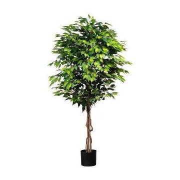 Konstgjord träd Ficus Benjamini ARNOMO, naturliga stammar, 180cm Konstgjord träd Ficus Benjamini ARNOMO, naturliga stammar, 180cm