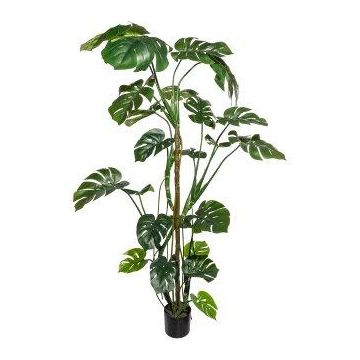 Konstgjord Philodendron Monstera Deliciosa EIDERA, luftrötter, 180cm Konstgjord Philodendron Monstera Deliciosa EIDERA, luftrötter, 180cm