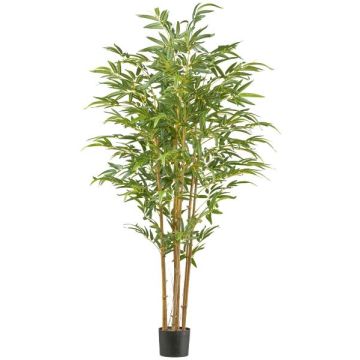Konstgjord träd japansk pilbambu IRTWA, naturstammar, crossdoor, 180cm Konstgjord träd japansk pilbambu IRTWA, naturstammar, crossdoor, 180cm