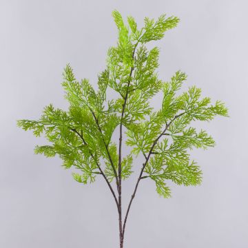 Dekorativ kvist av thuja BIRLAF, grön-gul, 85cm