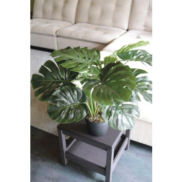 Konstväxt Philodendron monstera deliciosa CUNKYN i dekorativ kruka, 55cm