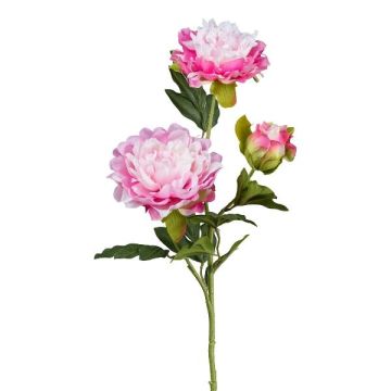 Konstgjord blomkvist, pion SLORMEK, rosa-vit, 65cm Konstgjord blomkvist, pion SLORMEK, rosa-vit, 65cm