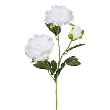 Konstgjord pionkvist SLORMEK, vit, 65cm