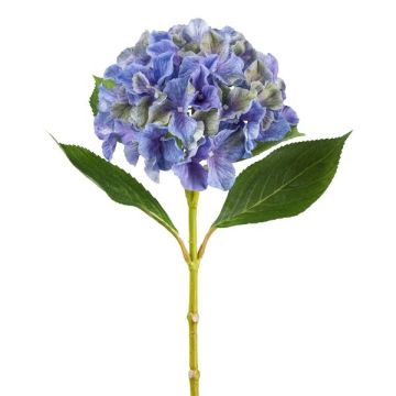 Konstgjord hortensia FUSTRAL, blågrön, 65cm, Ø18cm Konstgjord hortensia FUSTRAL, blågrön, 65cm, Ø18cm