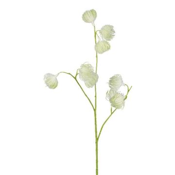 Konstgjord gren, klematis VITRAL, torkad look, grön-kräm, 55cm, Ø4cm Konstgjord gren, klematis VITRAL, torkad look, grön-kräm, 55cm, Ø4cm