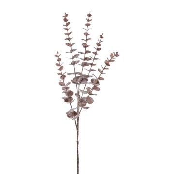 Dekorativ gren av eukalyptus TRELVO, vinröd, 75cm Dekorativ gren av eukalyptus TRELVO, vinröd, 75cm