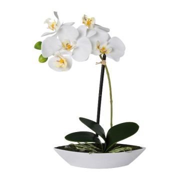 Konstgjord Phalaenopsis-orkidé ORWAN, dekorativ skål, rötter, vit, 30cm