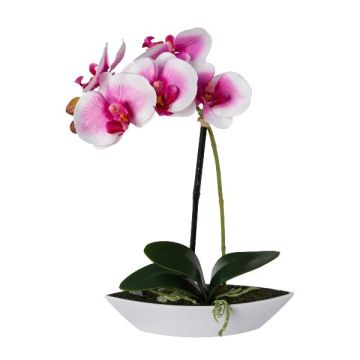 Konstgjord Phalaenopsis-orkidé ORWAN, dekorativ skål, rötter, vit-lila, 30cm