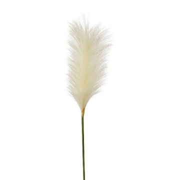 Konstgjort pampasgräs QUAVI, krämfärgat, 100cm Konstgjort pampasgräs QUAVI, krämfärgat, 100cm