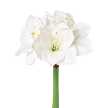 Plastblomma amaryllis MIKUN, vit, 55cm, Ø6-10cm Plastblomma amaryllis MIKUN, vit, 55cm, Ø6-10cm