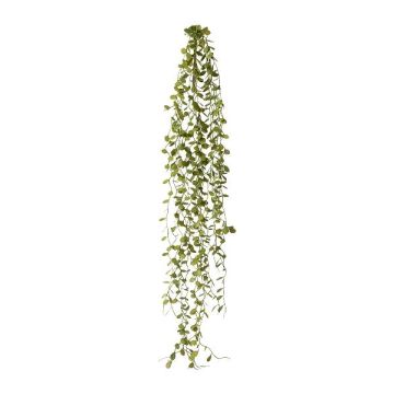 Konstgjord hängväxt Muehlenbeckia ZEHANL, sticka, grön, 70cm Konstgjord hängväxt Muehlenbeckia ZEHANL, sticka, grön, 70cm