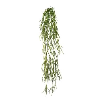 Konstgjord suckulent Rhipsalis WUNKE, buskig, stickpinne, hängande, grön, 60cm Konstgjord suckulent Rhipsalis WUNKE, buskig, stickpinne, hängande, grön, 60cm