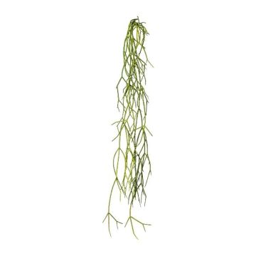 Konstgjord suckulent Rhipsalis WUNKE, sticka, hängande, grön, 60cm Konstgjord suckulent Rhipsalis WUNKE, sticka, hängande, grön, 60cm