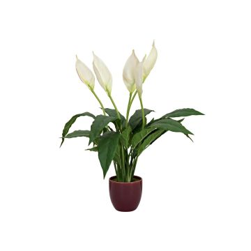 Konstgjord blomma, spathiphyllum AYASHA med blommor, keramikkruka, vit, 60cm Konstgjord blomma, spathiphyllum AYASHA med blommor, keramikkruka, vit, 60cm