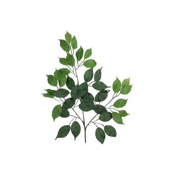 Konstgjord Ficus Benjamini-gren SAKURA, 12 stycken, grön, 55cm Konstgjord Ficus Benjamini-gren SAKURA, 12 stycken, grön, 55cm