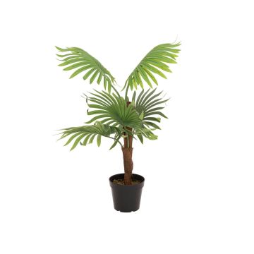 Konstgjord palm Livistona rotundifolia GHADA, 90cm Konstgjord palm Livistona rotundifolia GHADA, 90cm