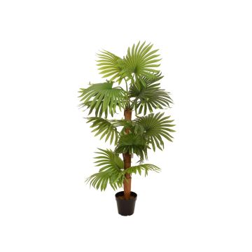 Konstgjord palm Livistona rotundifolia GHADA, 130cm Konstgjord palm Livistona rotundifolia GHADA, 130cm